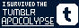 I survived the tumblr apocalypse