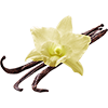 vanilla