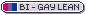 Bi - Gay Lean